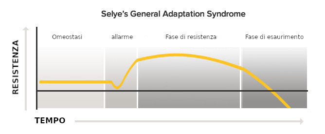 La GAS - general adaptation system