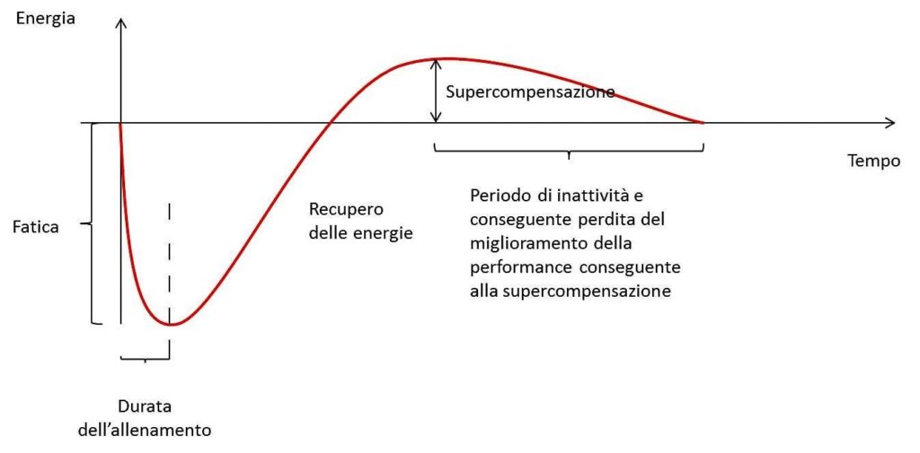 Curva della fatica e supercompensazione